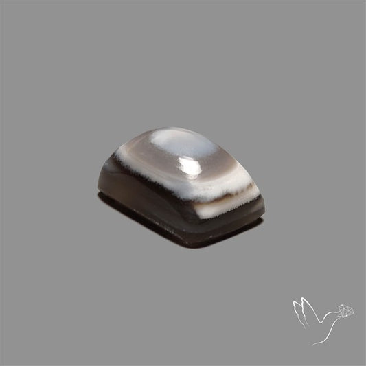 Owyhee Opal Eye Cabochon