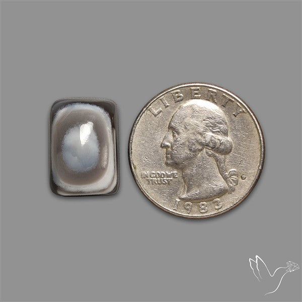 Owyhee Opal Eye Cabochon