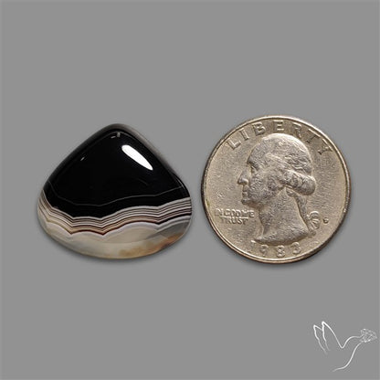 Tuxedo Black Banded Agate Cabochon