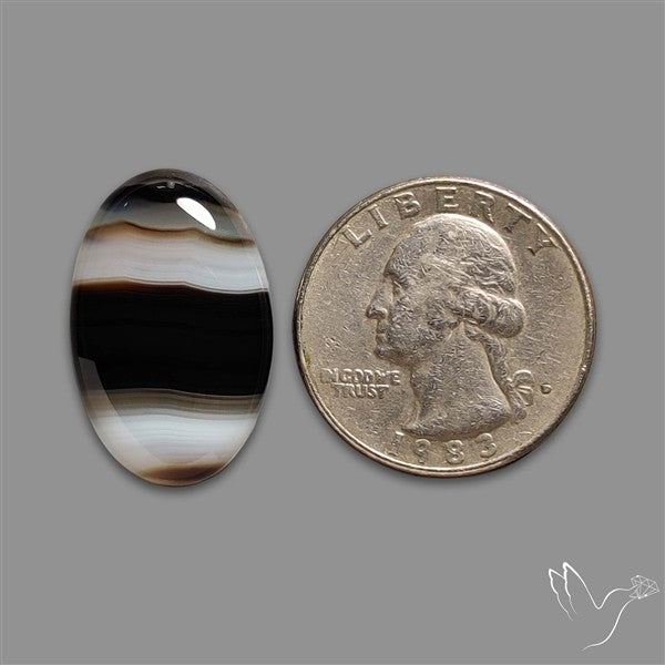 Tuxedo Black Banded Agate Cabochon