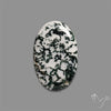Tree Agate Cabochon