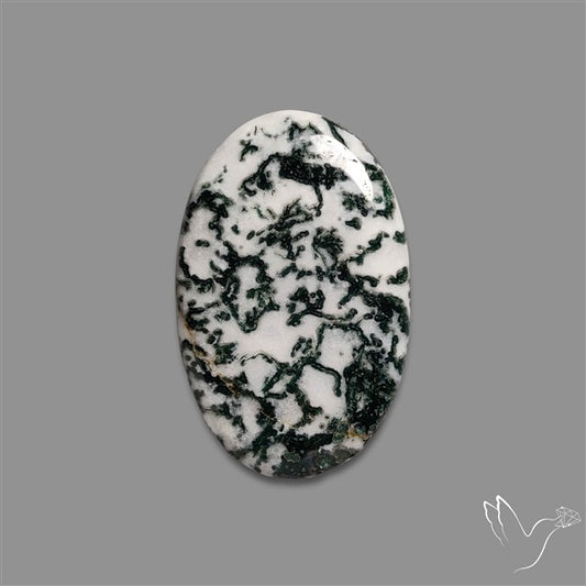 Tree Agate Cabochon
