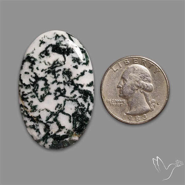Tree Agate Cabochon