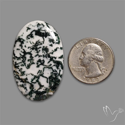 Tree Agate Cabochon