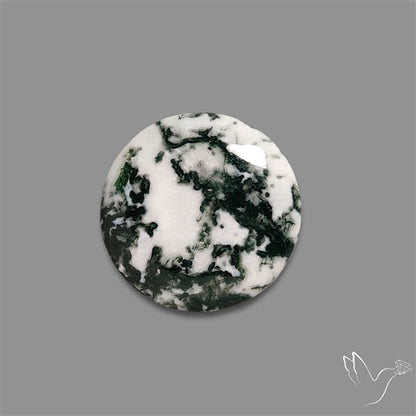 Tree Agate Cabochon