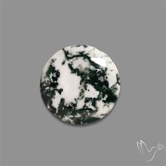 Tree Agate Cabochon