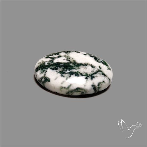 Tree Agate Cabochon