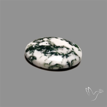Tree Agate Cabochon