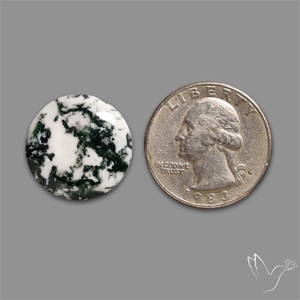 Tree Agate Cabochon