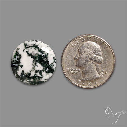 Tree Agate Cabochon