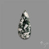 Tree Agate Cabochon