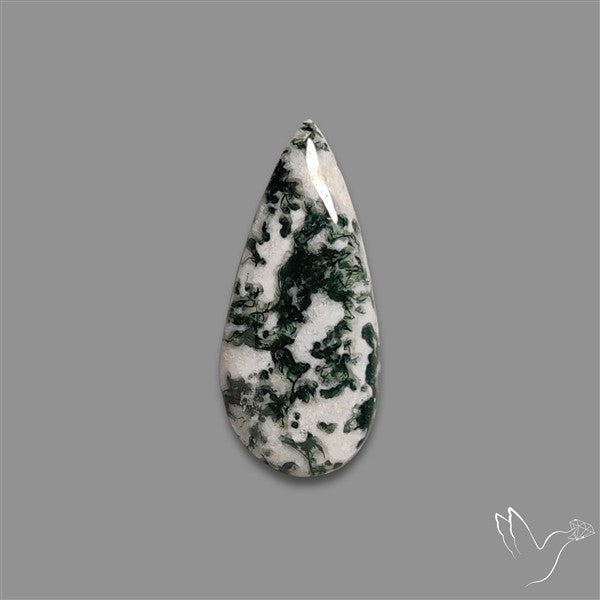 Tree Agate Cabochon