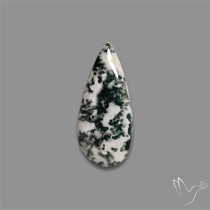 Tree Agate Cabochon