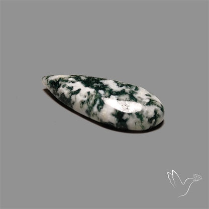Tree Agate Cabochon