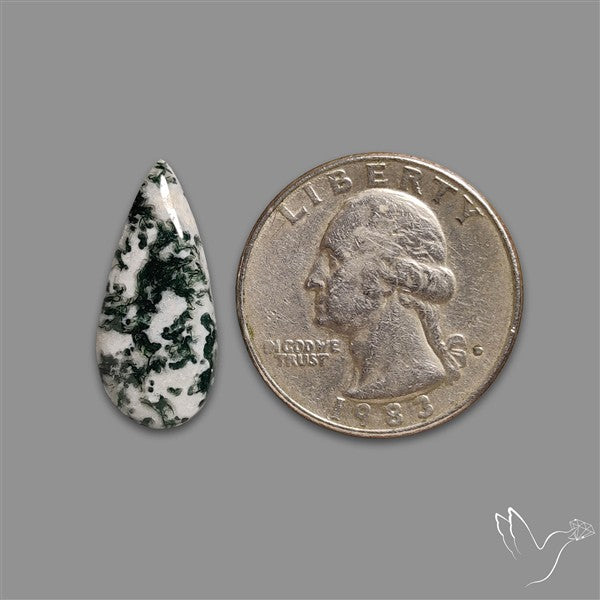 Tree Agate Cabochon