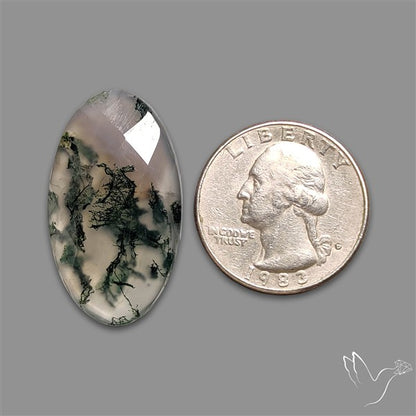 Checkerboard Cut Moss Agate