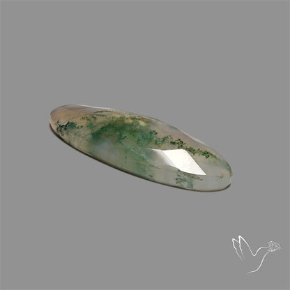 Checkerboard Cut Moss Agate