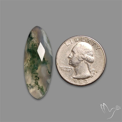 Checkerboard Cut Moss Agate