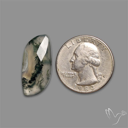 Checkerboard Cut Moss Agate