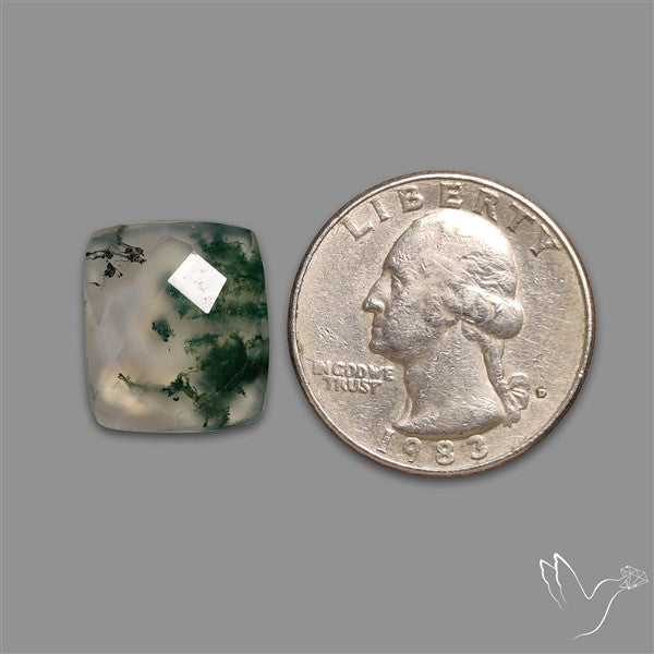 Checkerboard Cut Moss Agate