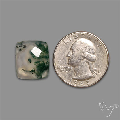 Checkerboard Cut Moss Agate