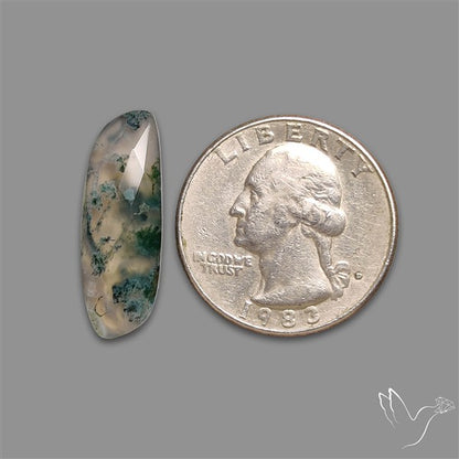 Checkerboard Cut Moss Agate