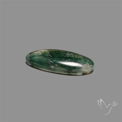 Moss Agate Cabochon