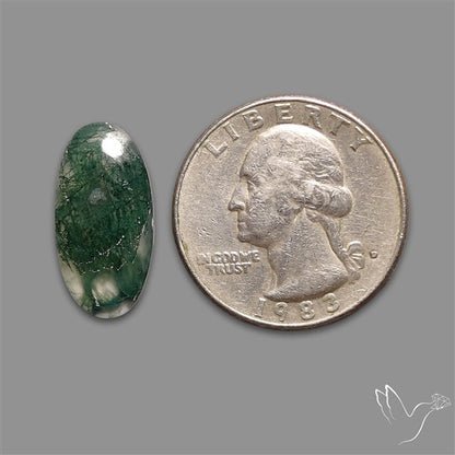 Moss Agate Cabochon