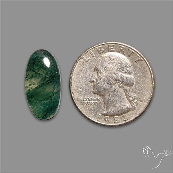 Moss Agate Cabochon