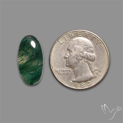Moss Agate Cabochon