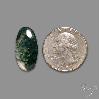 Moss Agate Cabochon