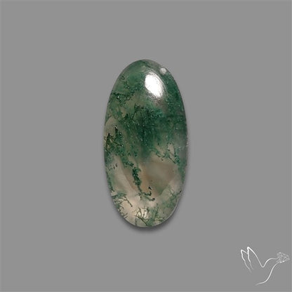 Moss Agate Cabochon