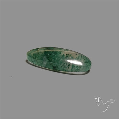 Moss Agate Cabochon