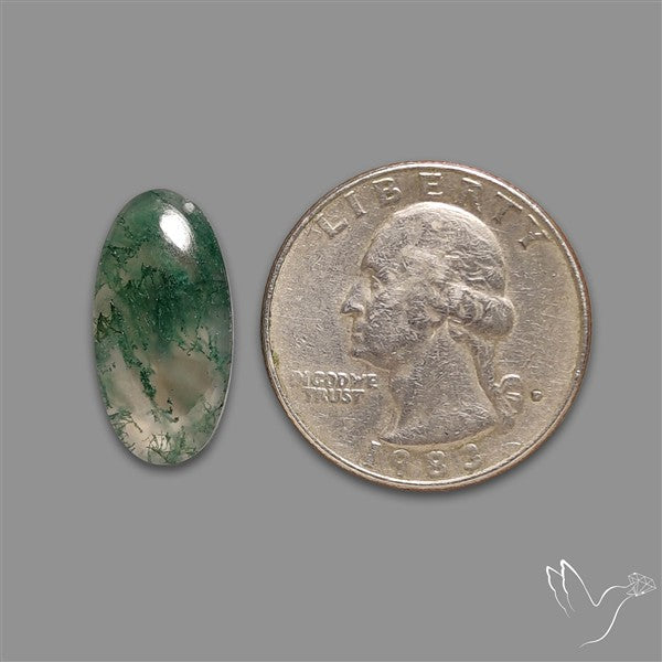 Moss Agate Cabochon