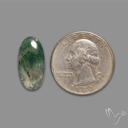 Moss Agate Cabochon