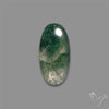 Moss Agate Cabochon