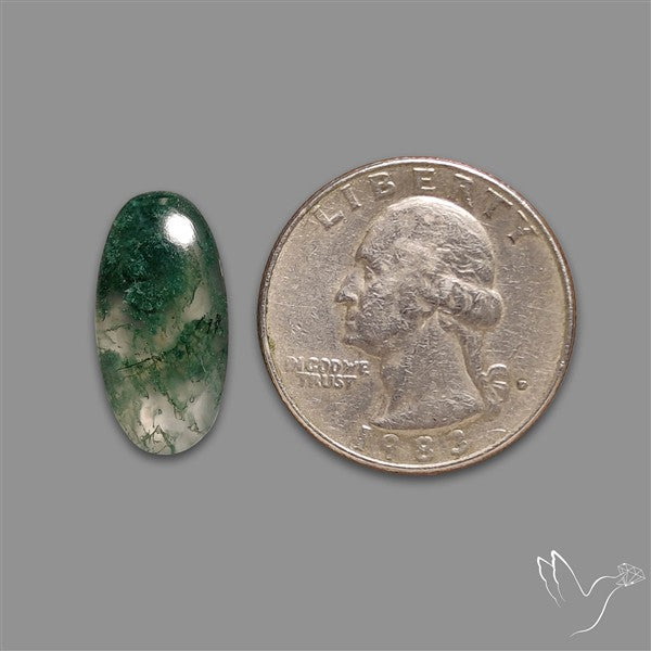 Moss Agate Cabochon