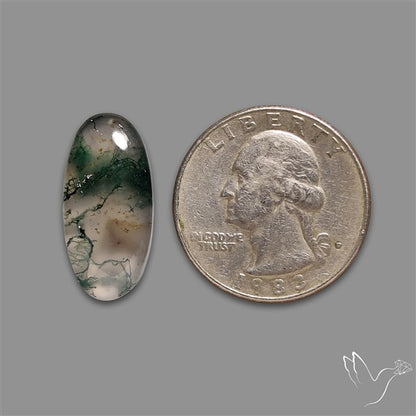 Moss Agate Cabochon