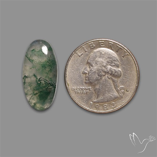 Moss Agate Cabochon