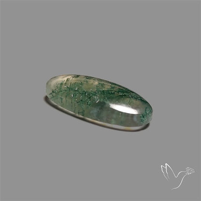 Moss Agate Cabochon