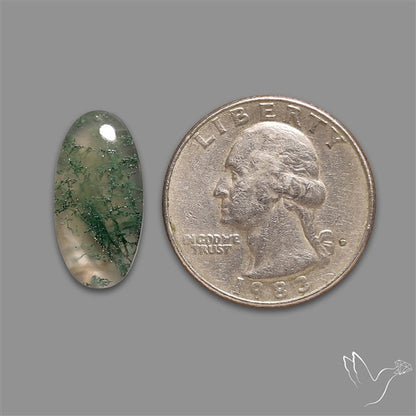 Moss Agate Cabochon
