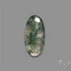Moss Agate Cabochon