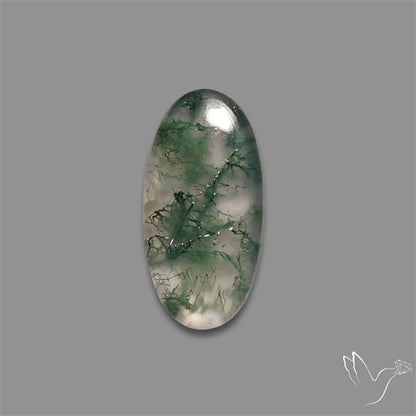 Moss Agate Cabochon