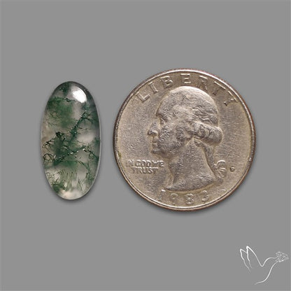 Moss Agate Cabochon