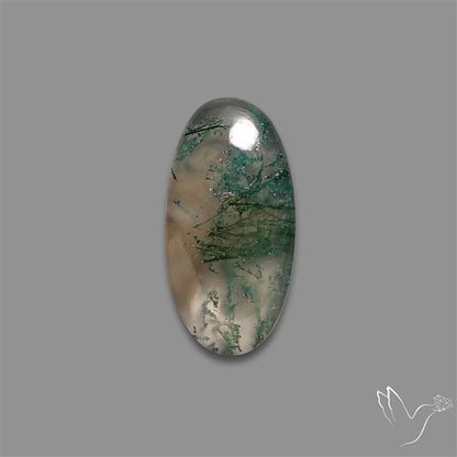 Moss Agate Cabochon