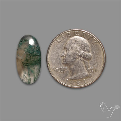 Moss Agate Cabochon