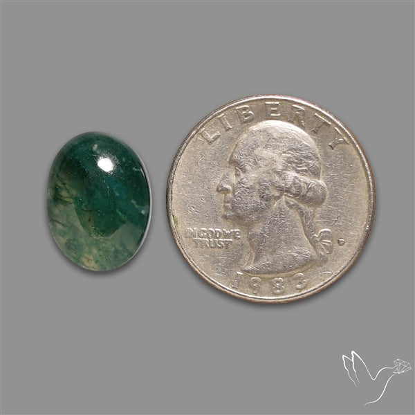 Moss Agate Cabochon