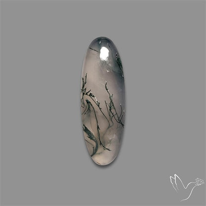 Moss Agate Cabochon