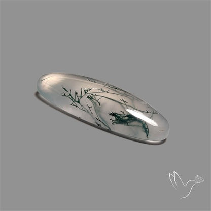 Moss Agate Cabochon