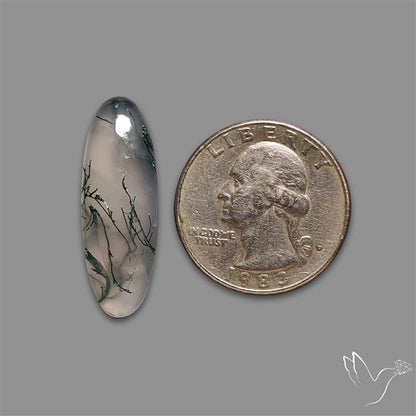 Moss Agate Cabochon